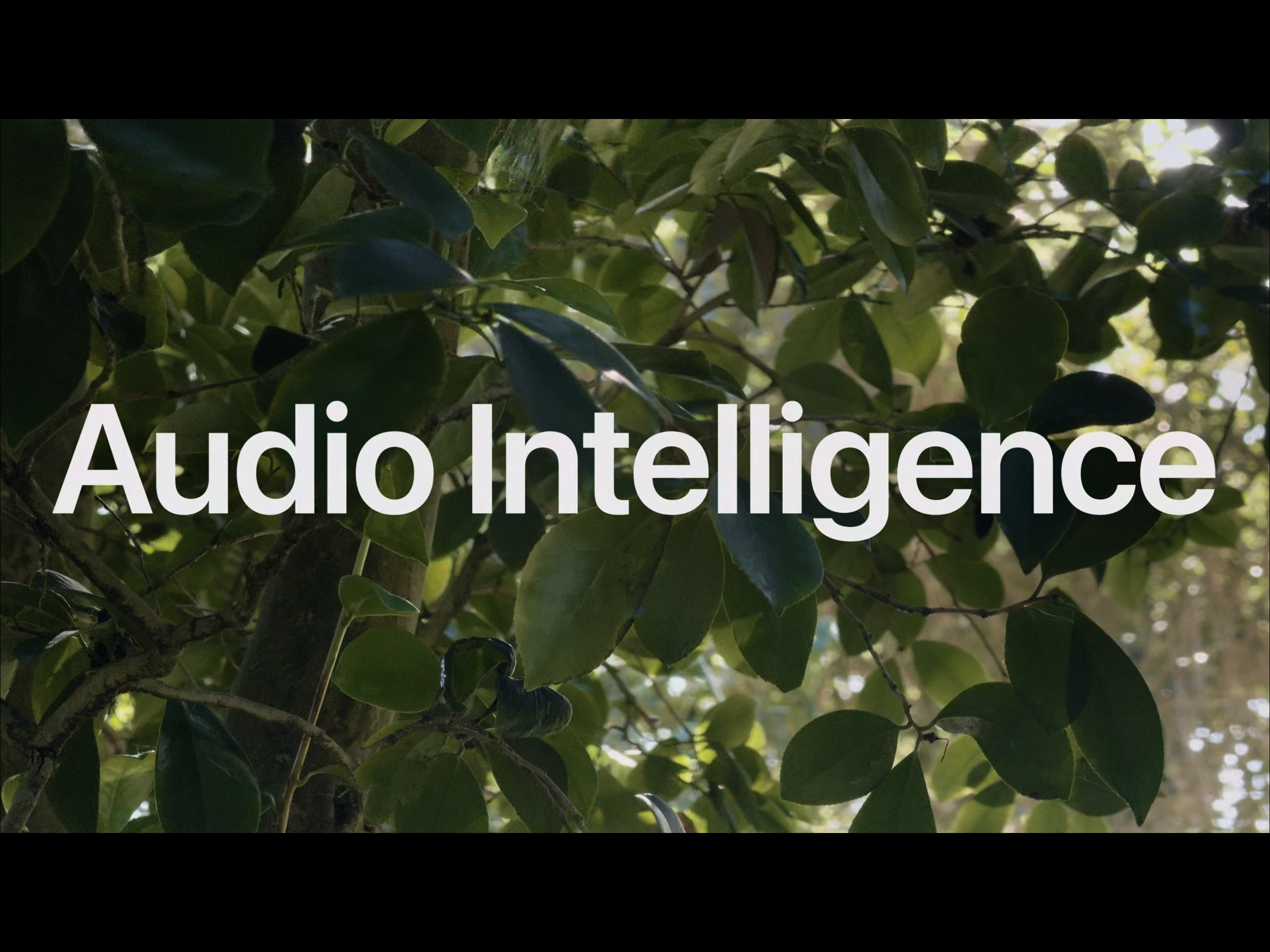 The words Audio Intelligence overtop green leaves and branches with sunlight filtering through.